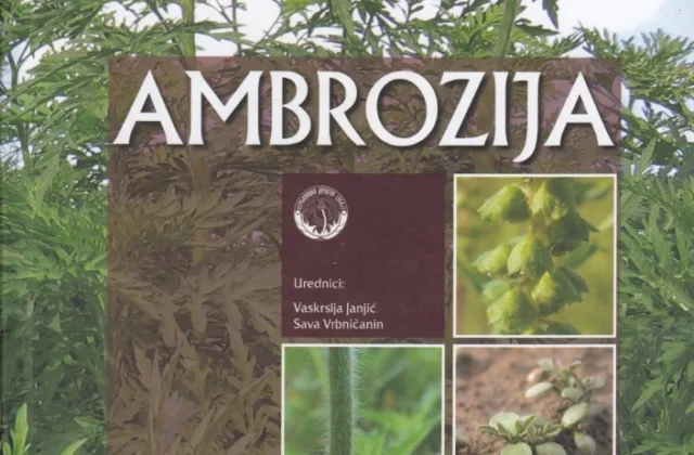 Ambrozija