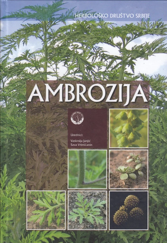 Ambrozija